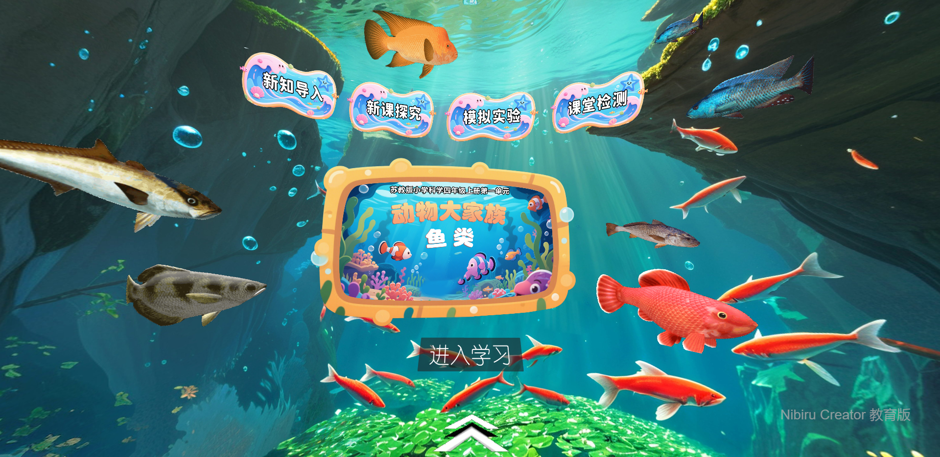 小学科学-VR课件,认识鱼类身体结构